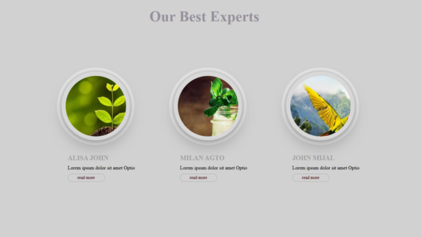 Premium experts profile cards ui template